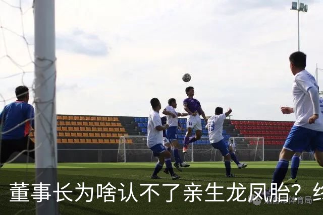 董事长为啥认不了亲生龙凤胎？终于真相大白！
